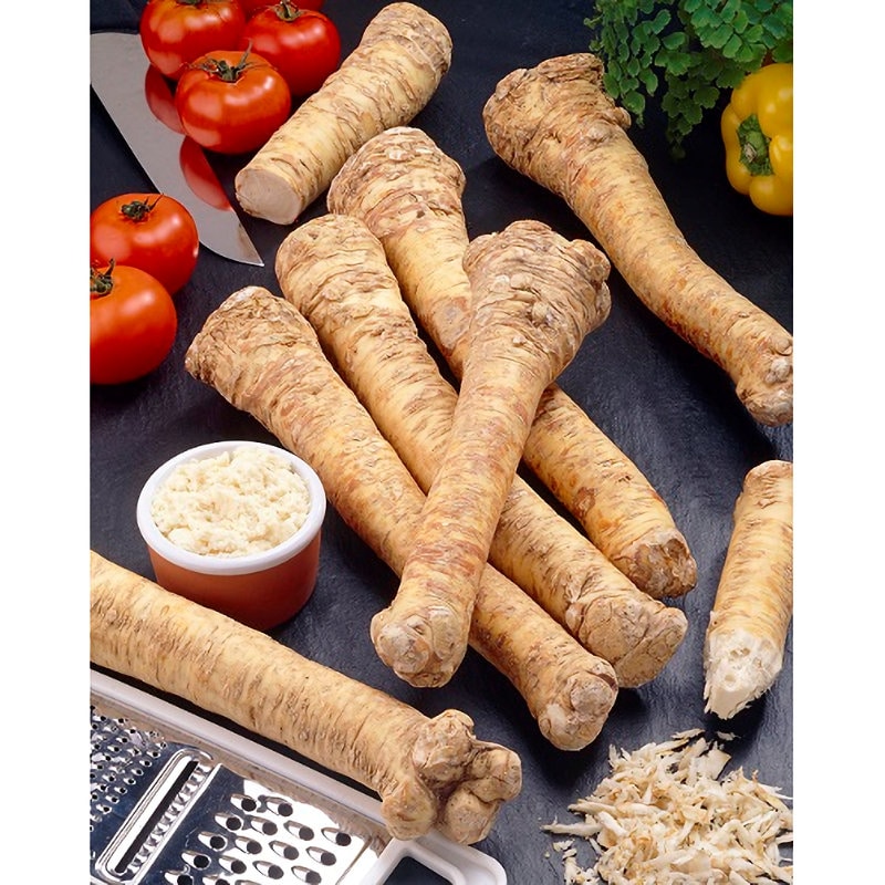 【春予約】　山わさび　１株　【引渡予定日：３／７（土）～１５（日）】