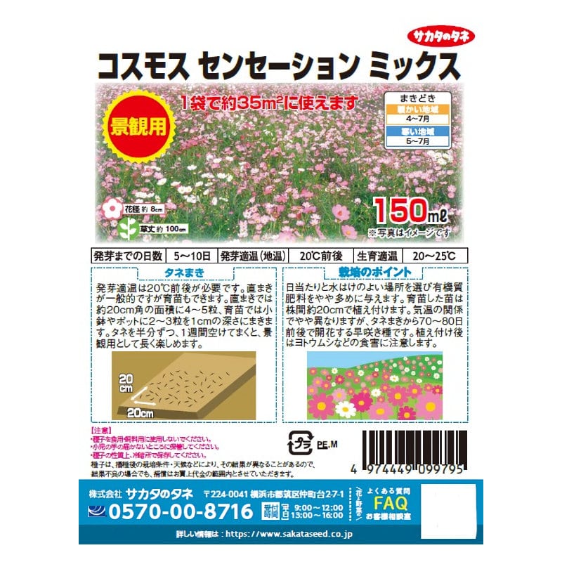 サカタのタネ　コスモス　センセーション　ミックス　景観用徳用袋