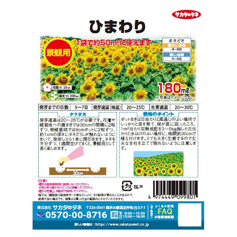サカタのタネ　ひまわり　景観用徳用袋