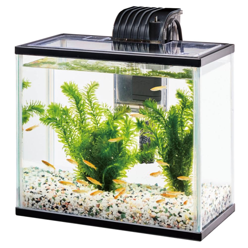 テトラ 金魚・メダカのらくらくアクア L の通販