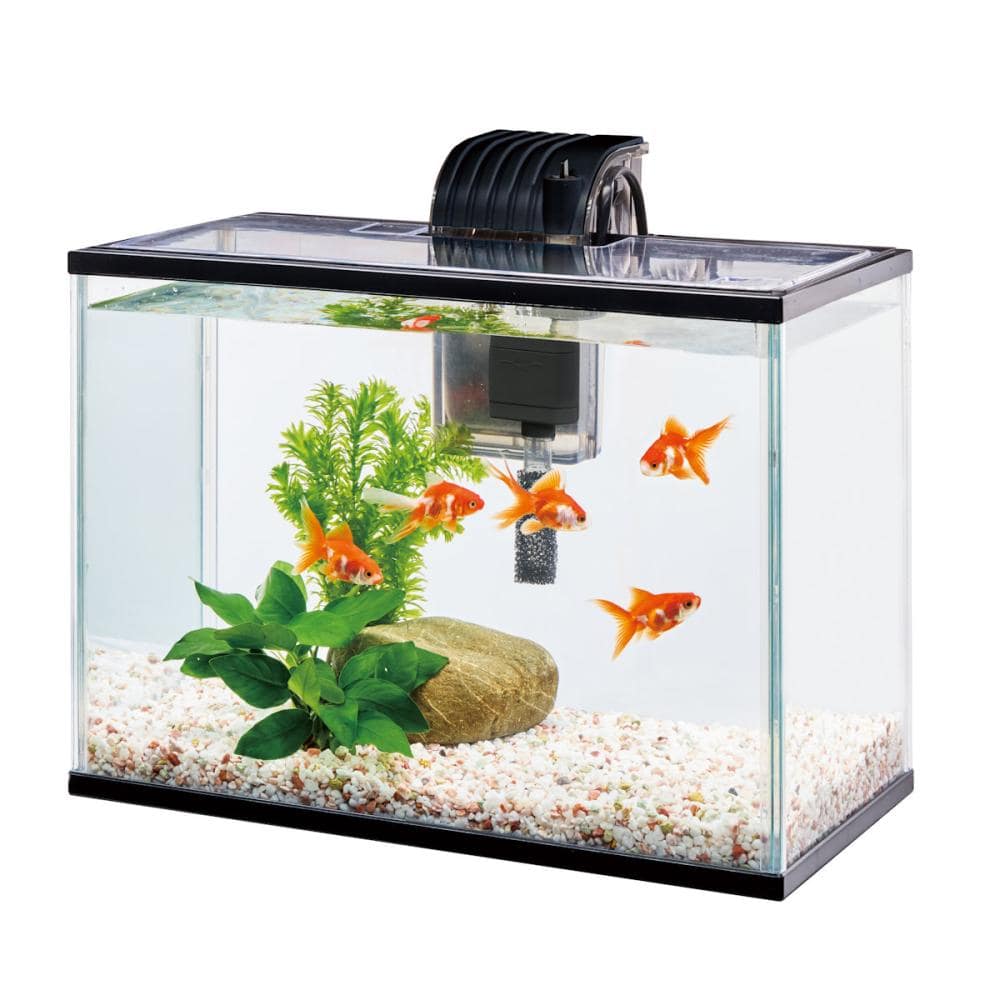 テトラ 金魚・メダカのらくらくアクア L の通販