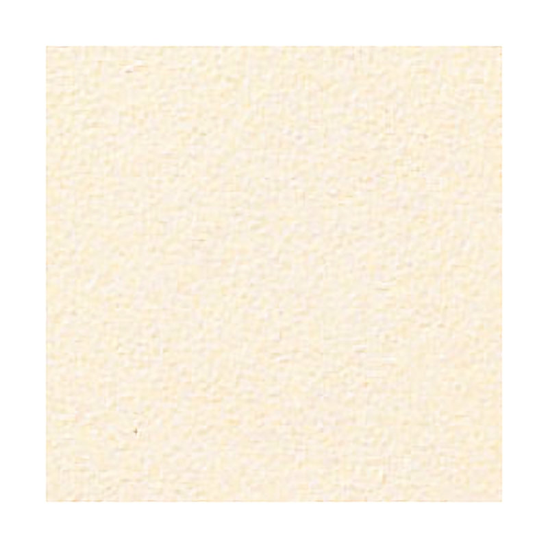 ＬＩＸＩＬ　ミスティキラミックＳ　ＮＰＫＣ－１００ＮＥＴ／Ｆ１Ｓ