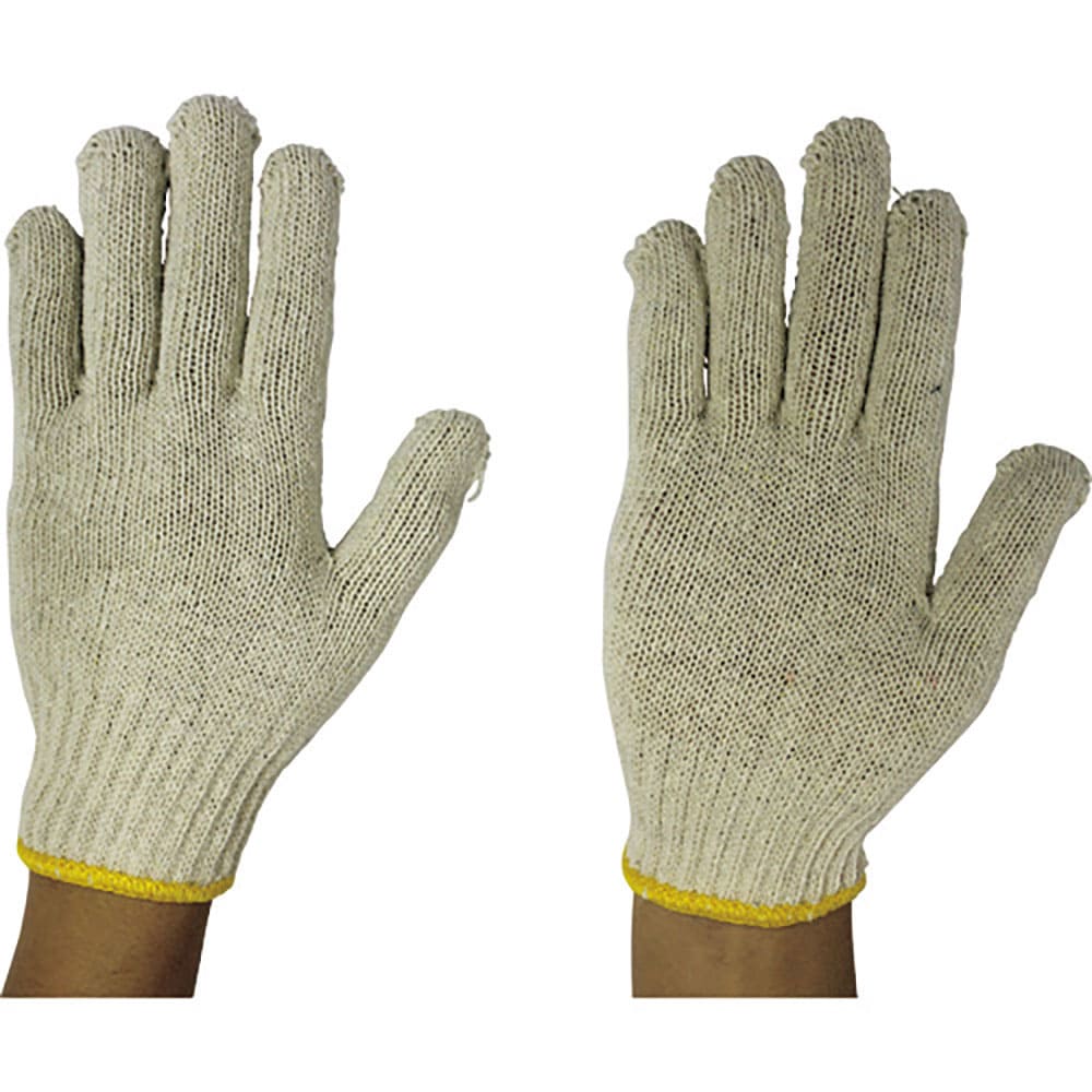 おたふく　１００　日本一　（トクボー綿色）　１００＿