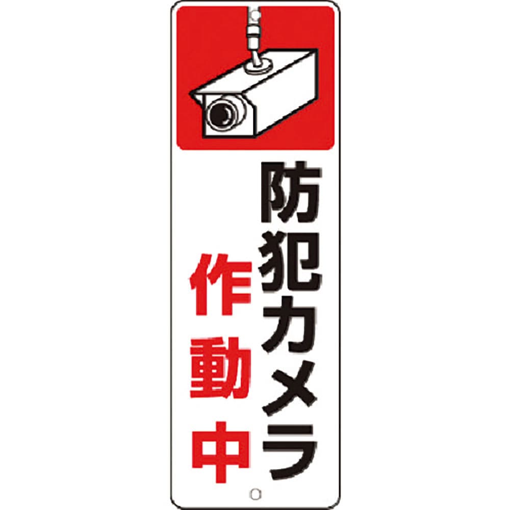 つくし　短冊標識　防犯カメラ作動中　９－Ｔ＿