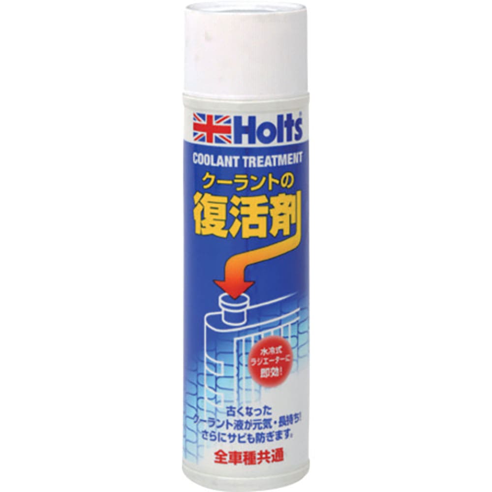 Ｈｏｌｔｓ　ＭＨ３１９　クーラント・トリートメント　４９７８９５５００３１９２　ＭＨ３１９＿