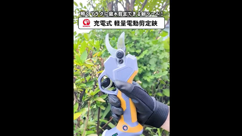 商品動画サムネイル