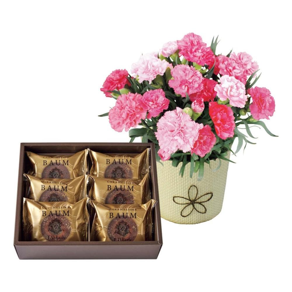 【母の日ギフト】カーネーション（ホットハート）とＴ．Ｄ．Ｅａｒｌｙ　キャラメリゼバウムＢ４０－１【注文期限５月１日】