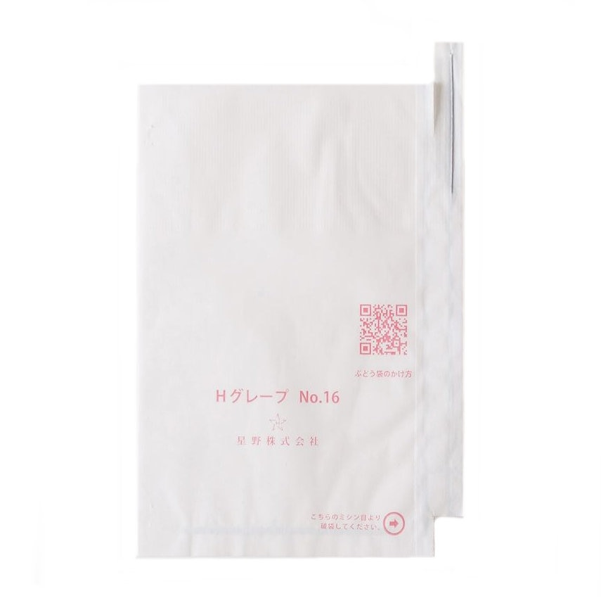 １６号　段有