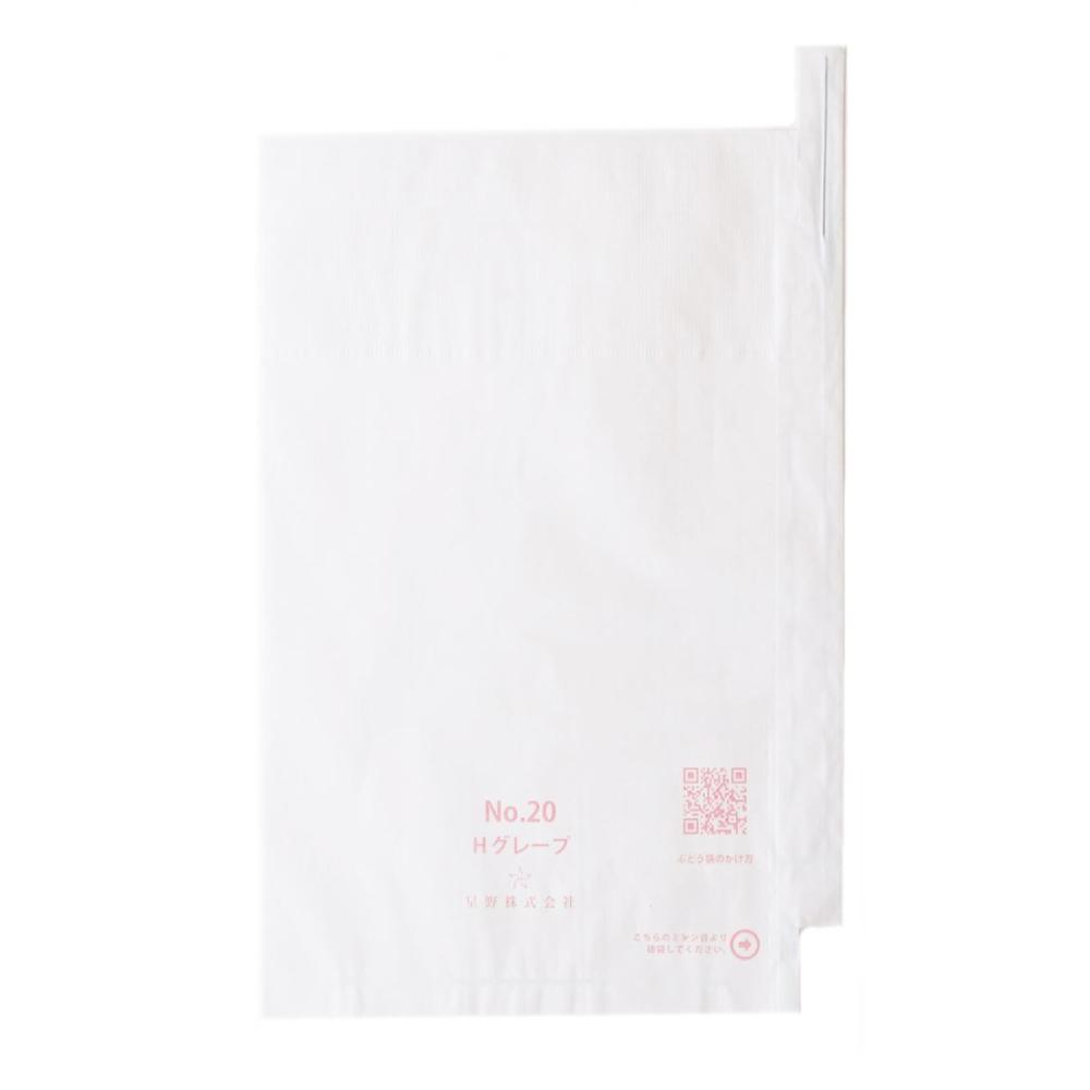 ２０号　段有