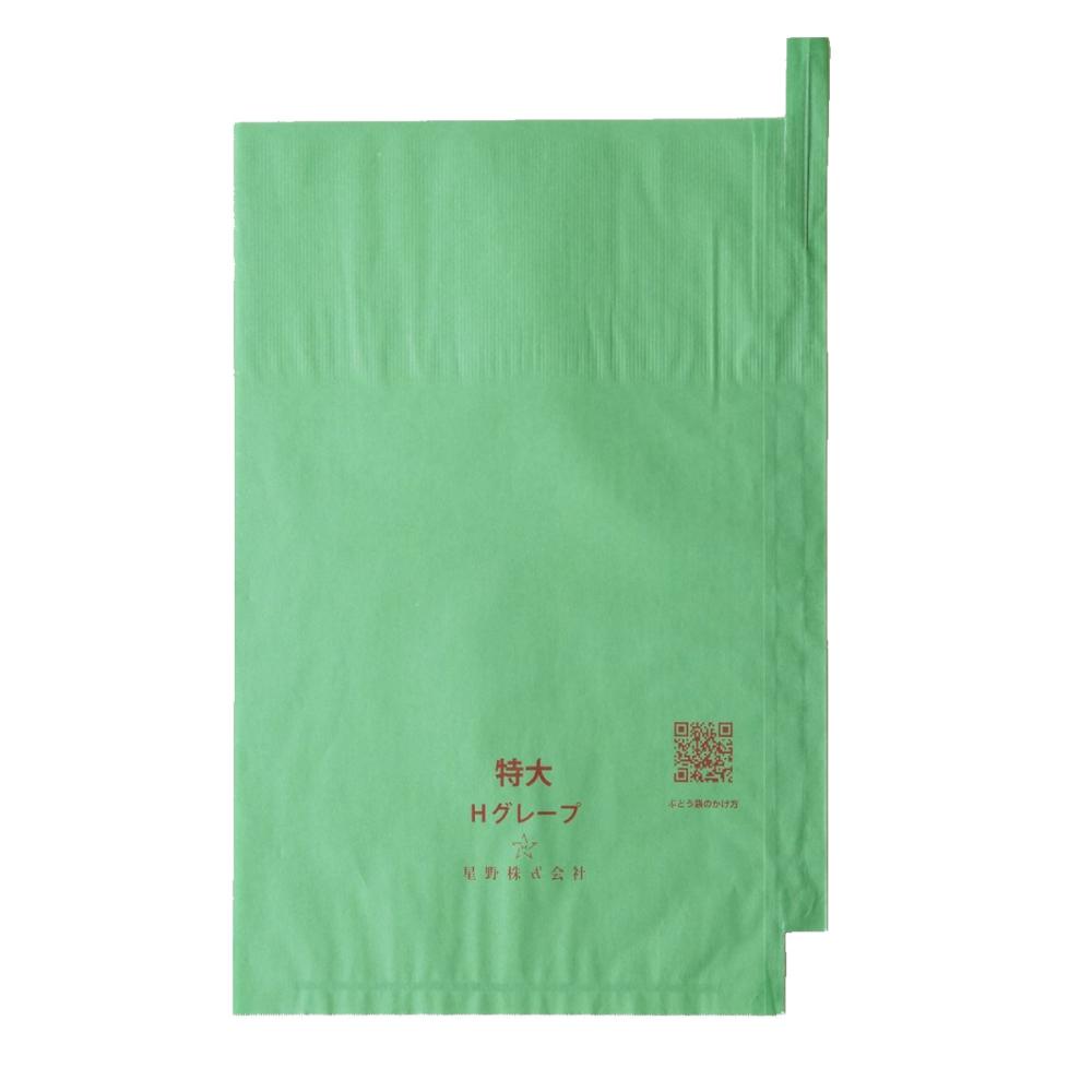 Ｈ特大　段有