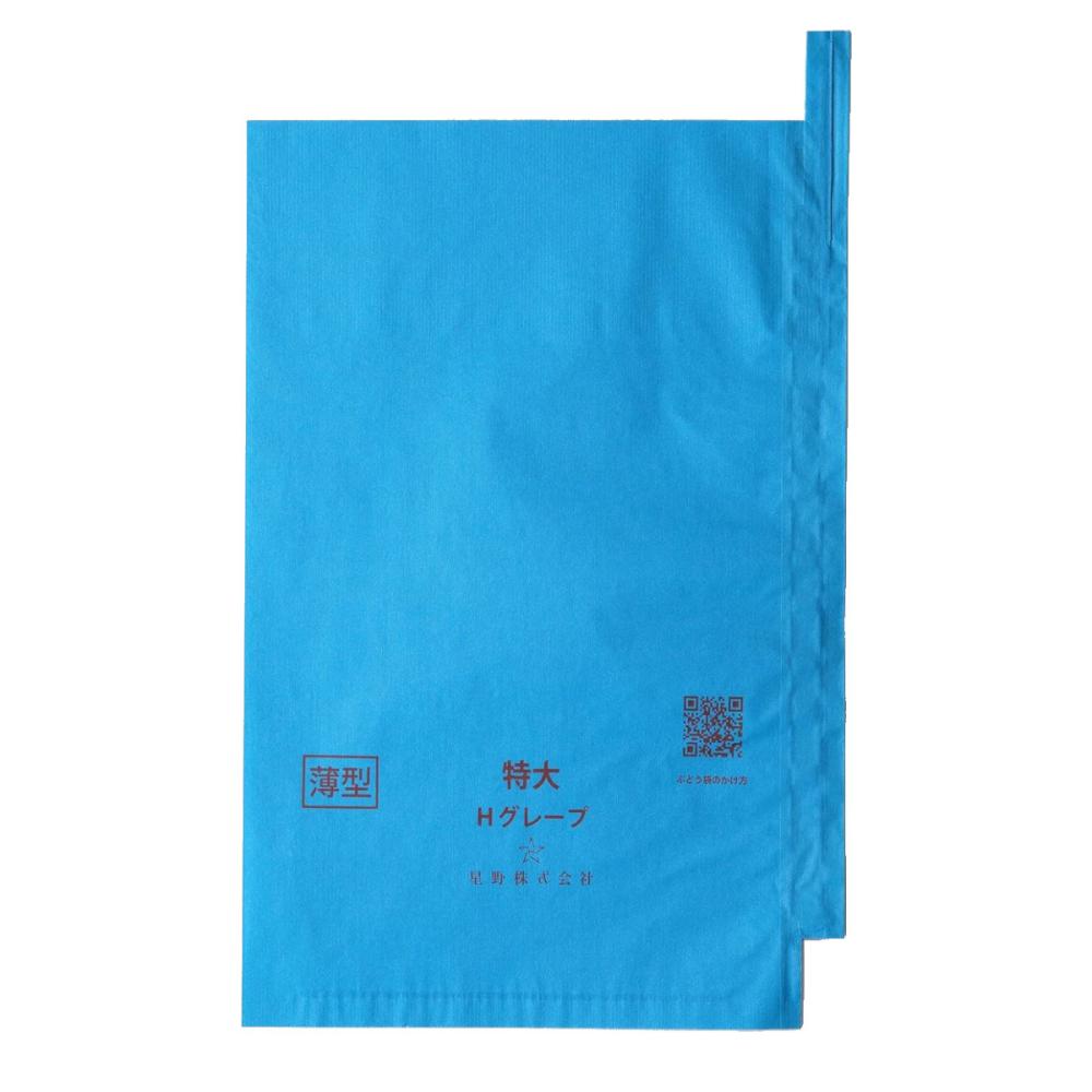 特大　薄型　ターコイズ　段有