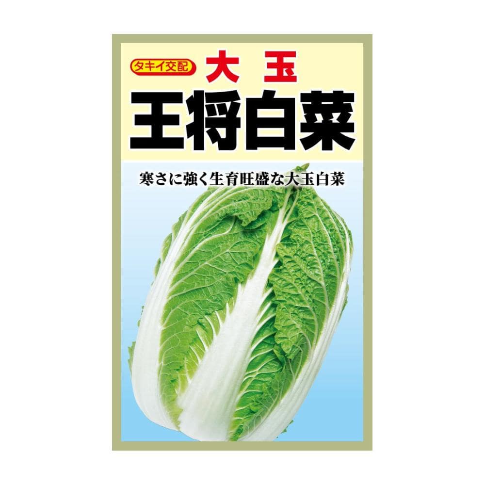 耐病黄芯 80日白菜 の通販 | ホームセンター コメリドットコム