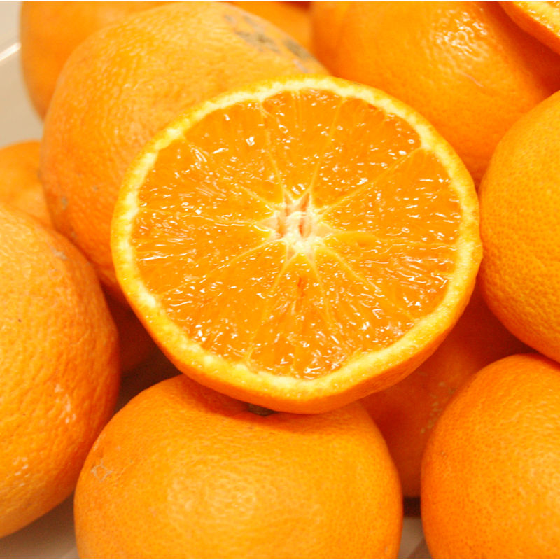 大分県産　永木農園さんのなつみ　サイズ混合M～L　約５ｋｇ【注文期限：２０２６年２月２０日】