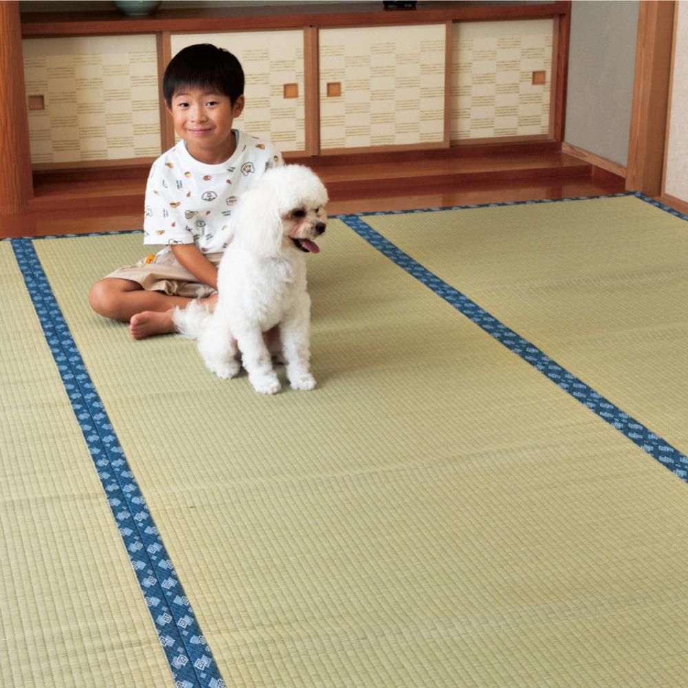 イケヒコ　い草上敷き　天草　本間３畳