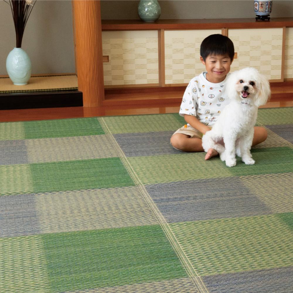 イケヒコ　い草上敷き（花ござ）　神楽　裏貼りなし　グリーン　本間４．５畳