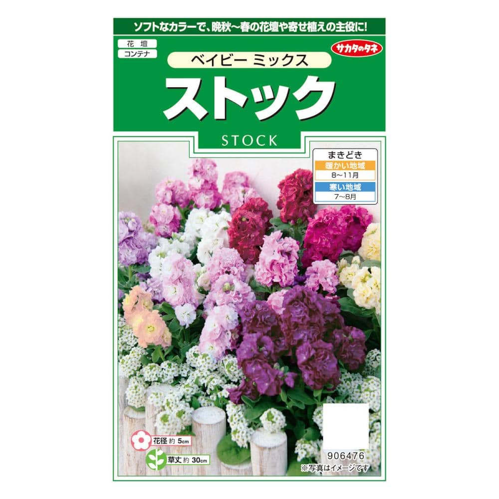 サカタのタネ　ストック　ベイビーミックス