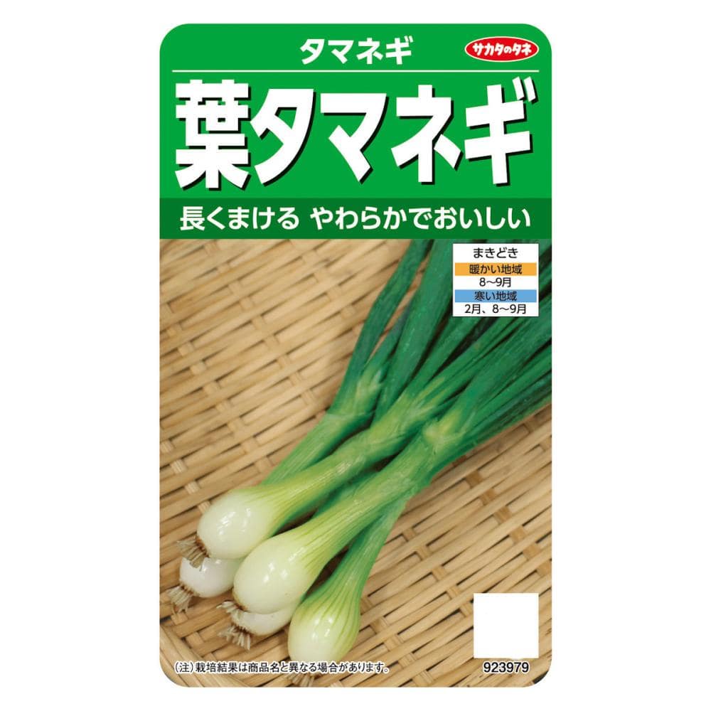 サカタのタネ　タマネギ　葉タマネギ
