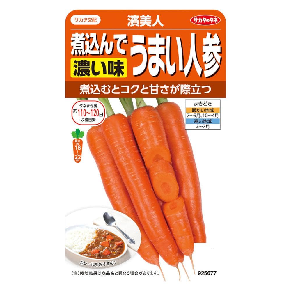 サカタのタネ ニンジン 濵美人