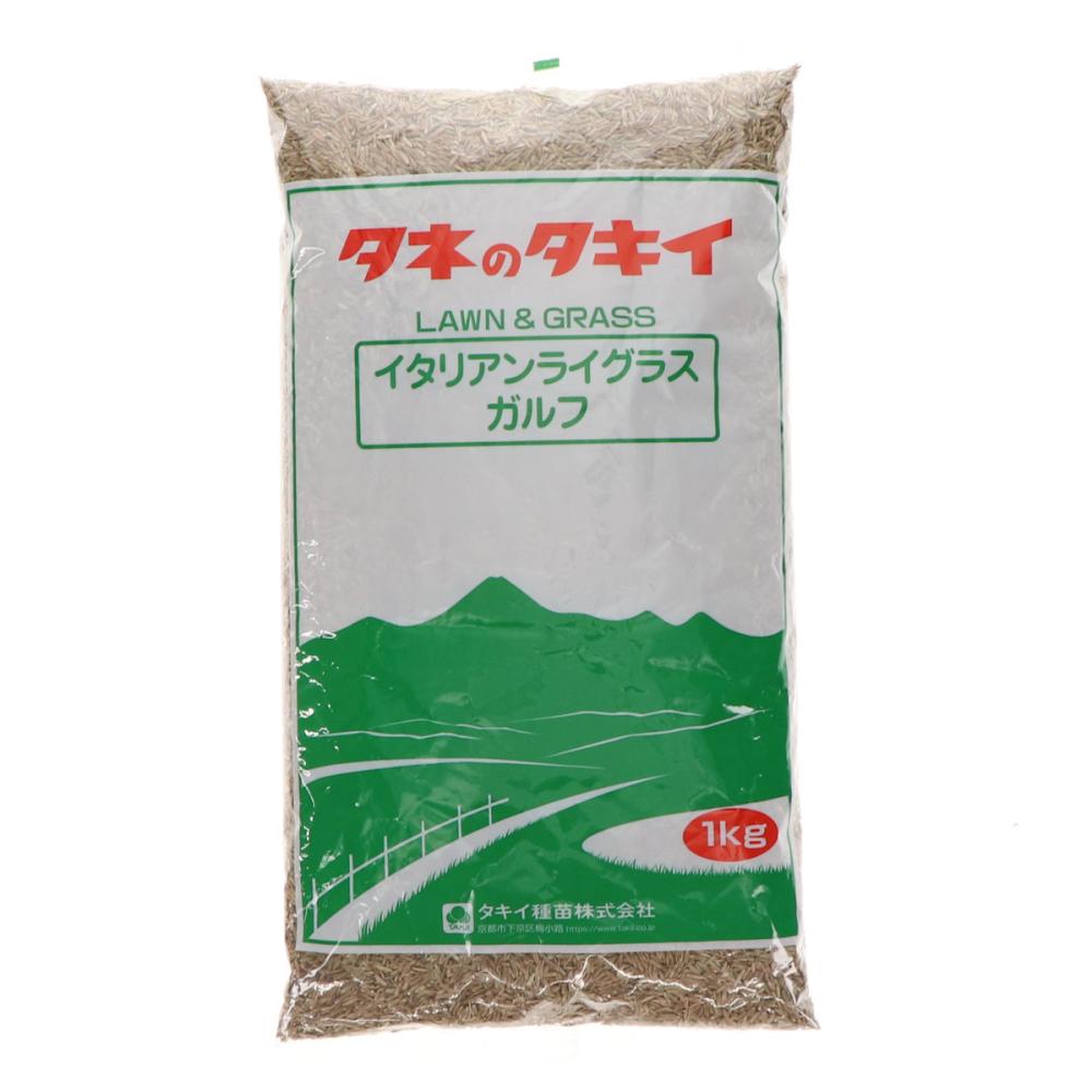 イタリアンライグラス　ガルフ　１ｋｇ