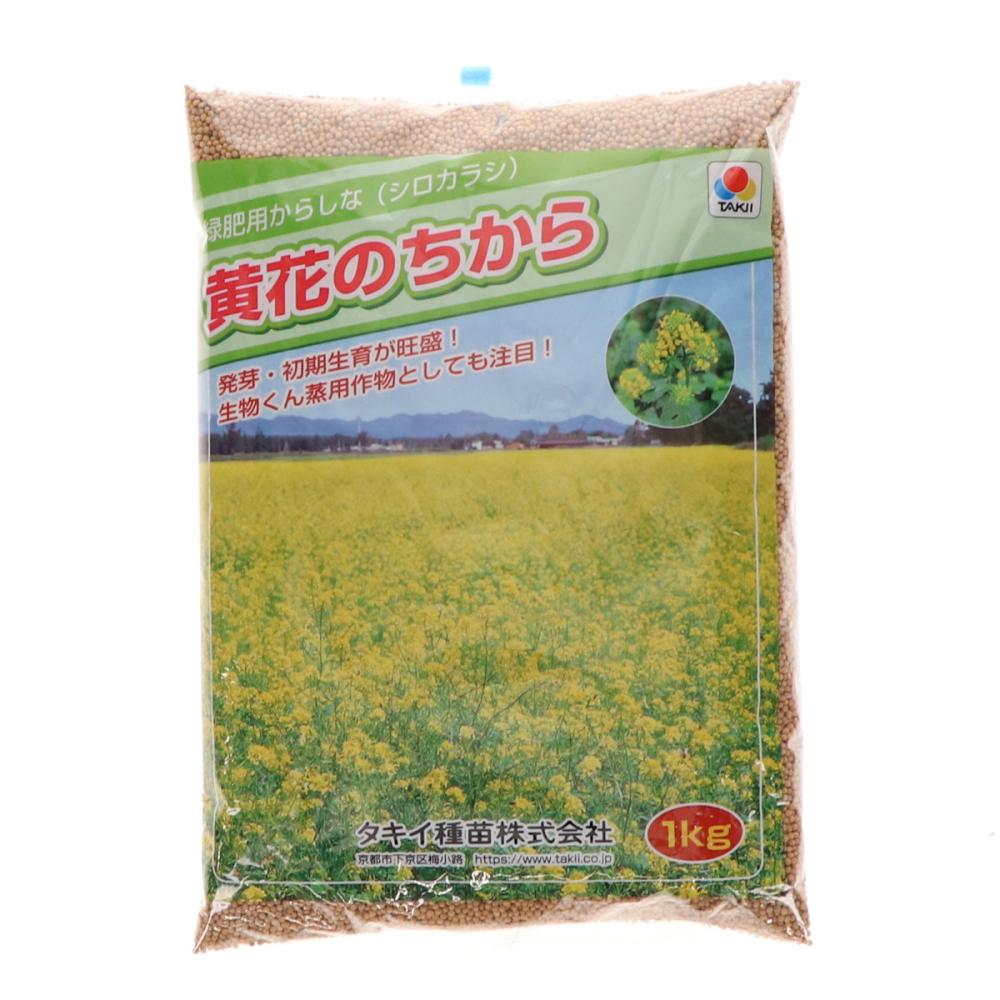 緑肥用からしな　黄花のちから　１ｋｇ