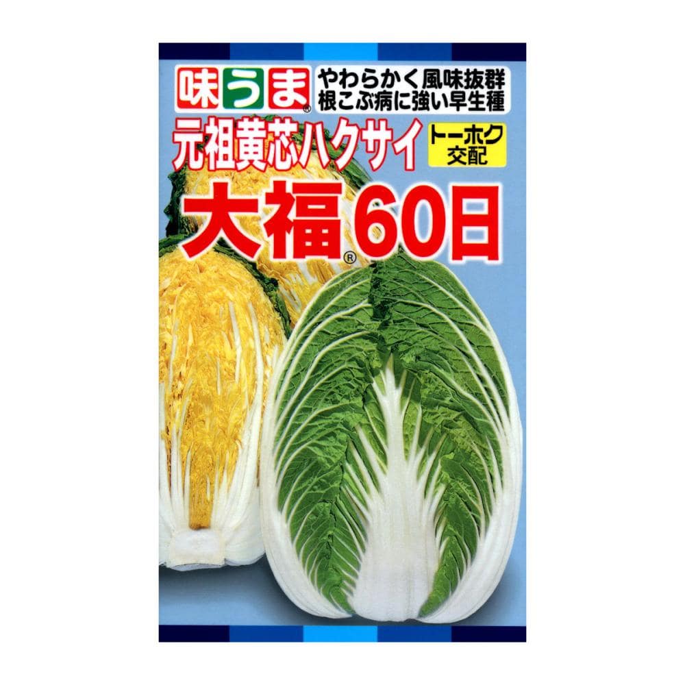 さくや出品 Amazon | BRIGHTZ エスクァイア 80 85 メッキサイドドアモール