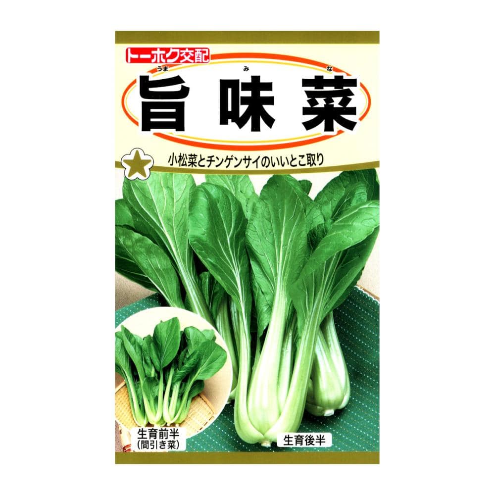 トーホク交配　菜類種子　Ｆ１　旨味菜