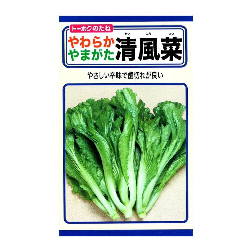 トーホクのたね　菜類種子　やわらか　やまがた清風菜