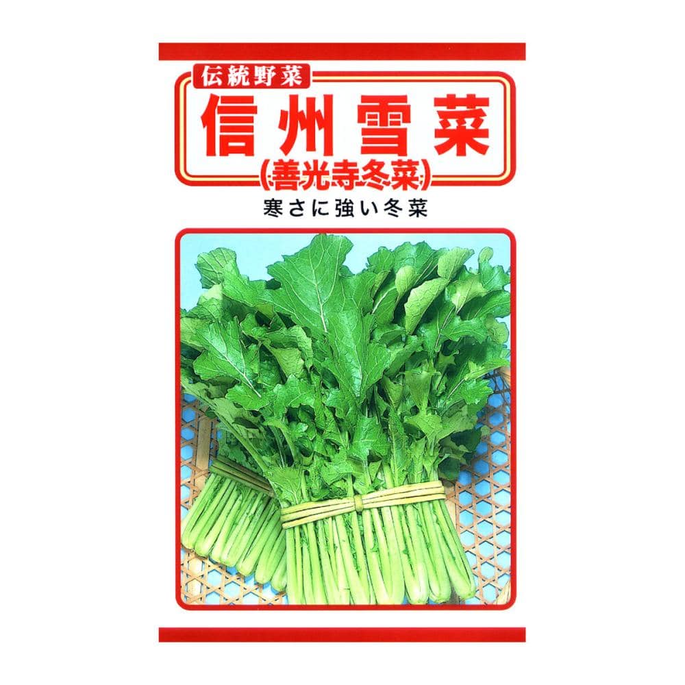 トーホクのたね　信州雪菜　善光寺冬菜