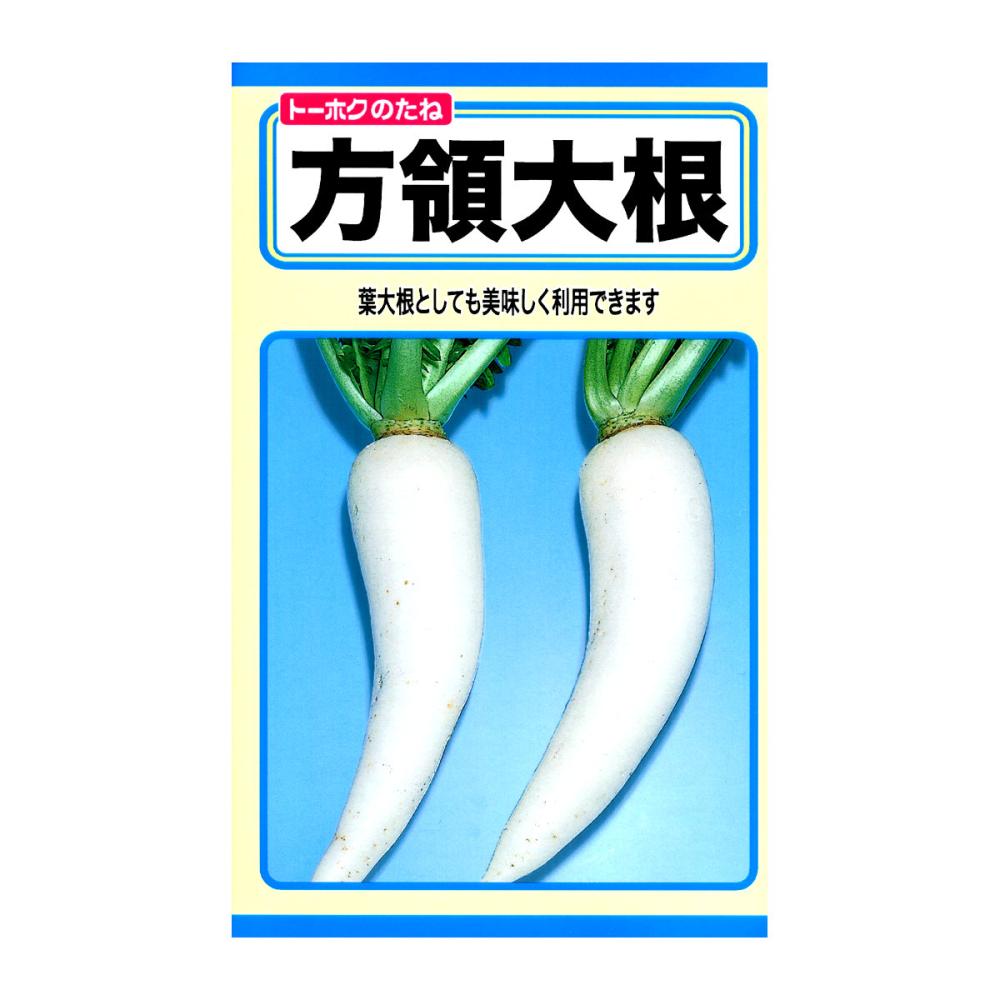 トーホクのたね　ダイコン種子　方領大根