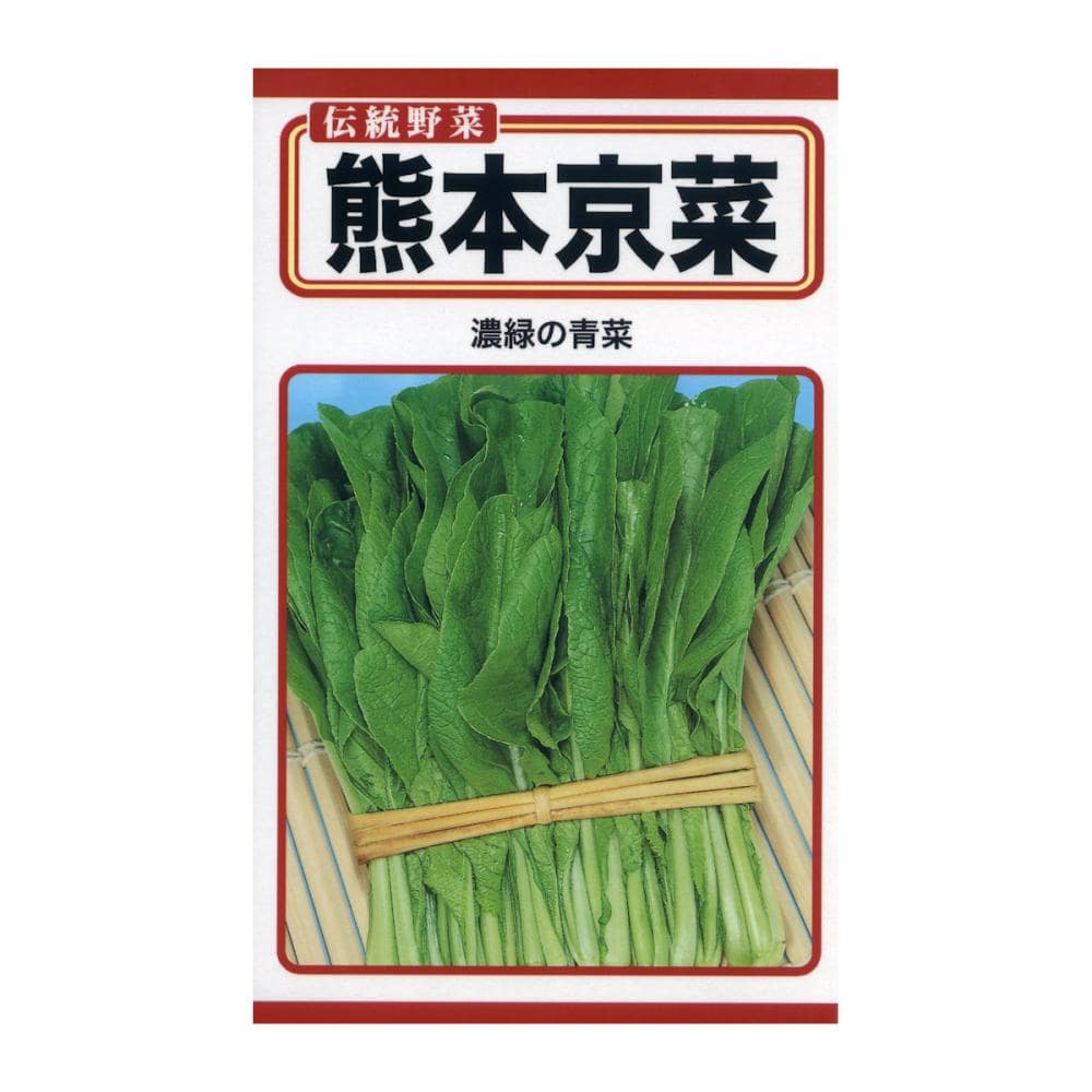 トーホクのたね　葉類種子　熊本京菜