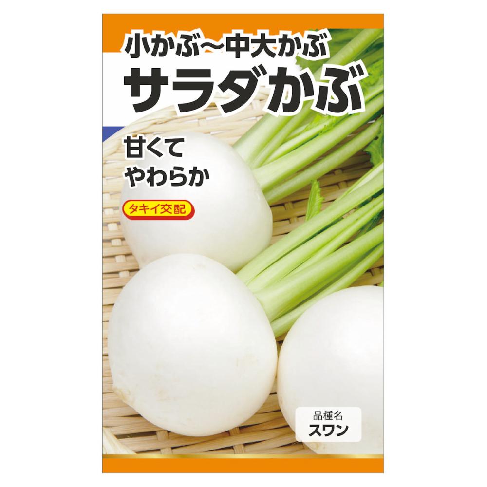 タキイ交配　カブ種子　サラダかぶ（スワン）