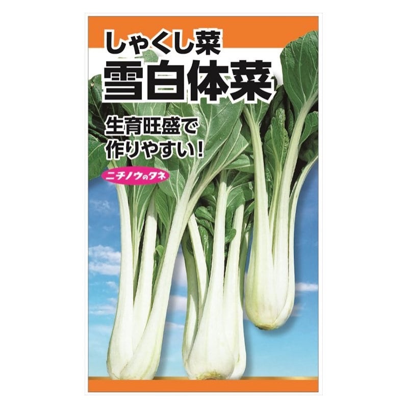ニチノウのタネ　雪白体菜（しゃくし菜）