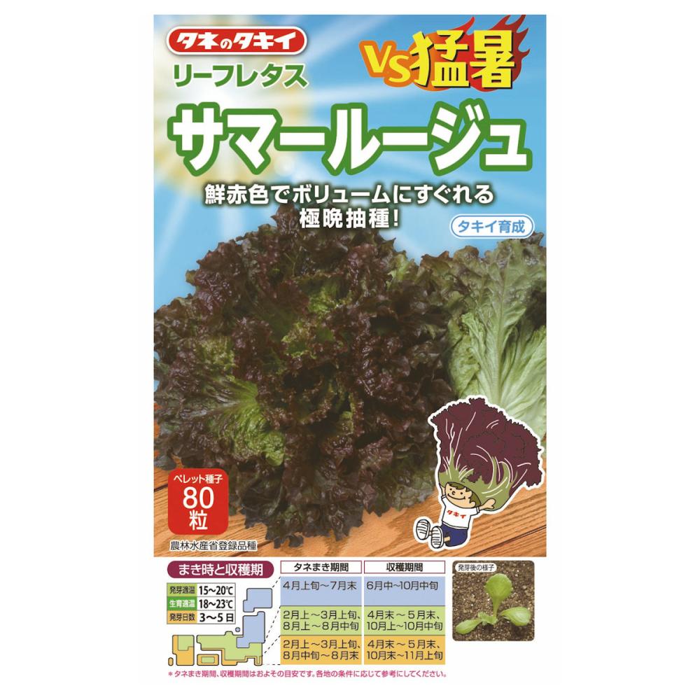 タネのタキイ レタス種子 VS猛暑 サマールージュ