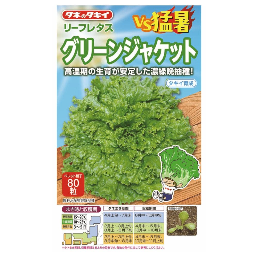 タネのタキイ　レタス種子　ＶＳ猛暑　グリーンジャケット