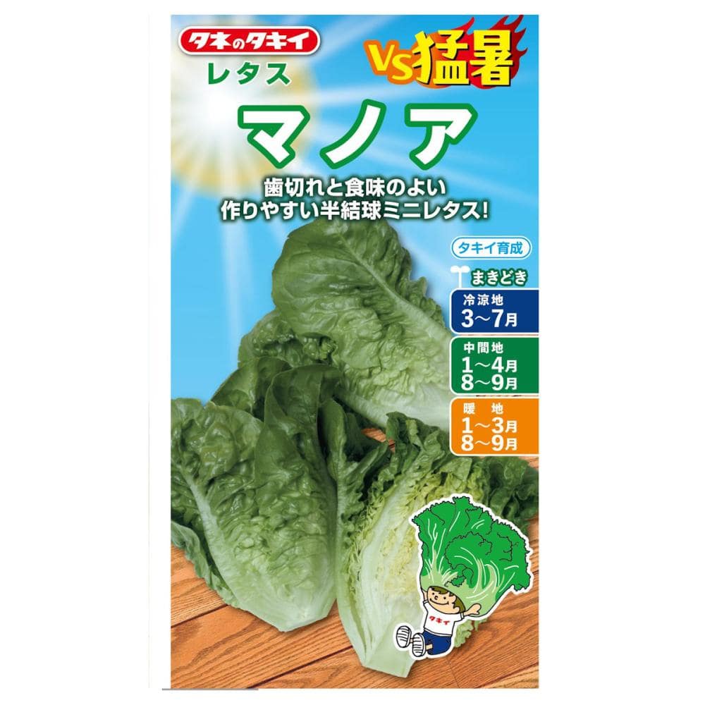 タネのタキイ レタス種子 VS猛暑 マノア