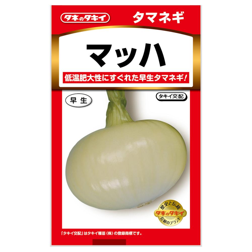 タネのタキイ　タマネギ種子　マッハ