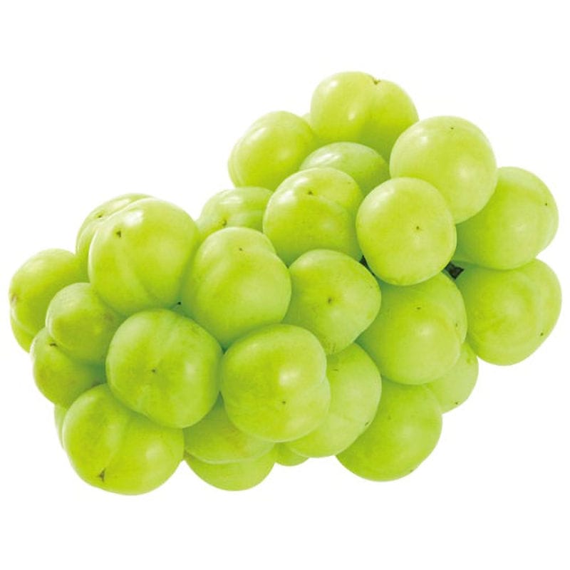 岡山県産　くだもの大国　瀬戸ジャイアンツ　約２ｋｇ（４～５房）【注文期限：9月5日】