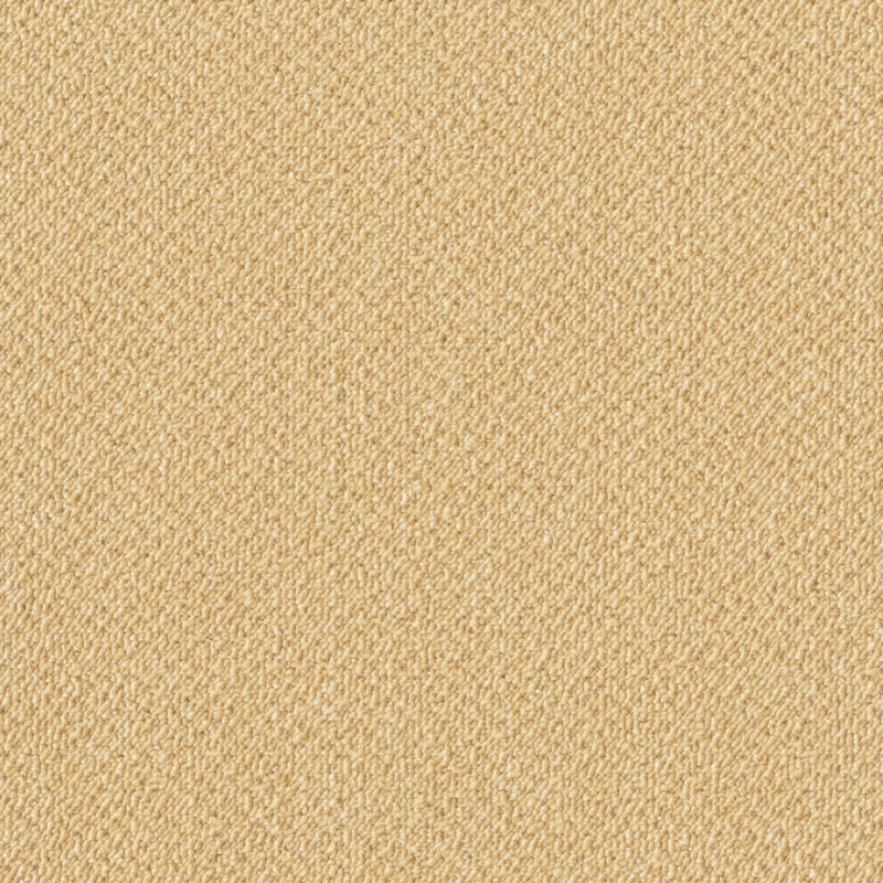 ＡＫ８００３ＳＣ