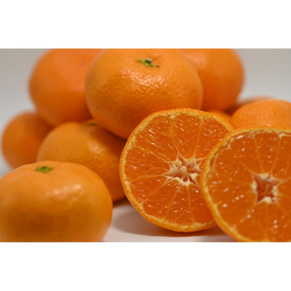 愛媛県産　温州みかん（早生）家庭用　サイズ混合　約５ｋｇ