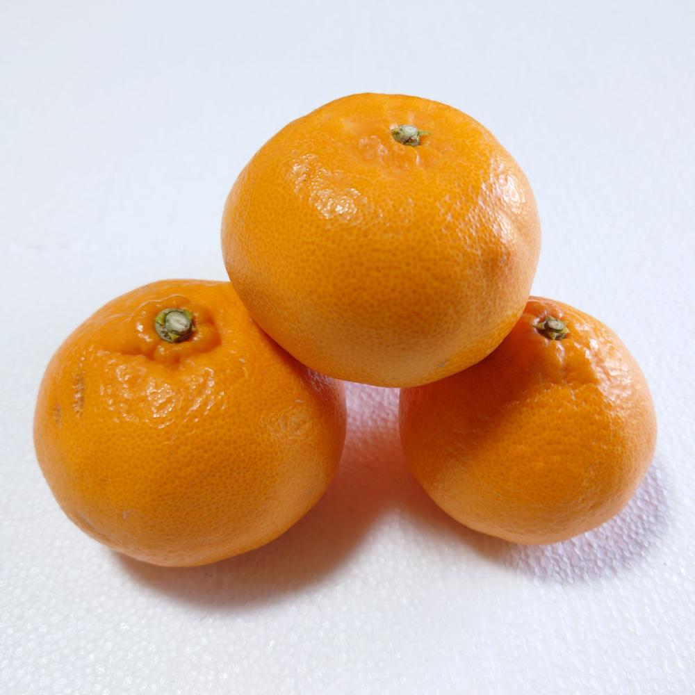 愛媛県産　せとか　家庭用　サイズ混合　約５ｋｇ【注文期限：2026年3月10日】