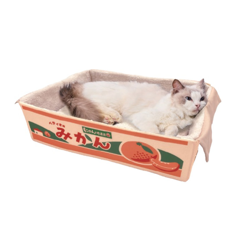 にゃん地直送　ぽかぽかＢＯＸ　みかん