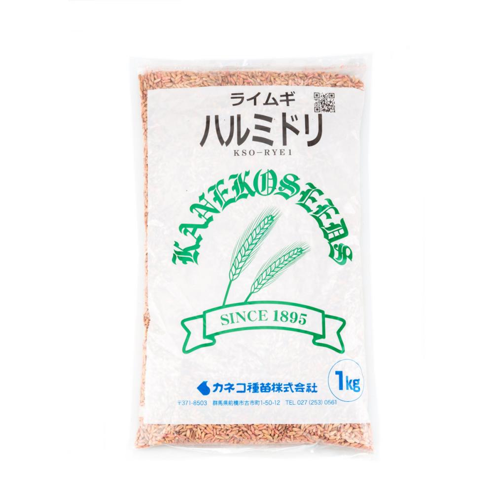 【早期予約・緑肥】　ライムギ　ハルミドリ　１ｋｇ