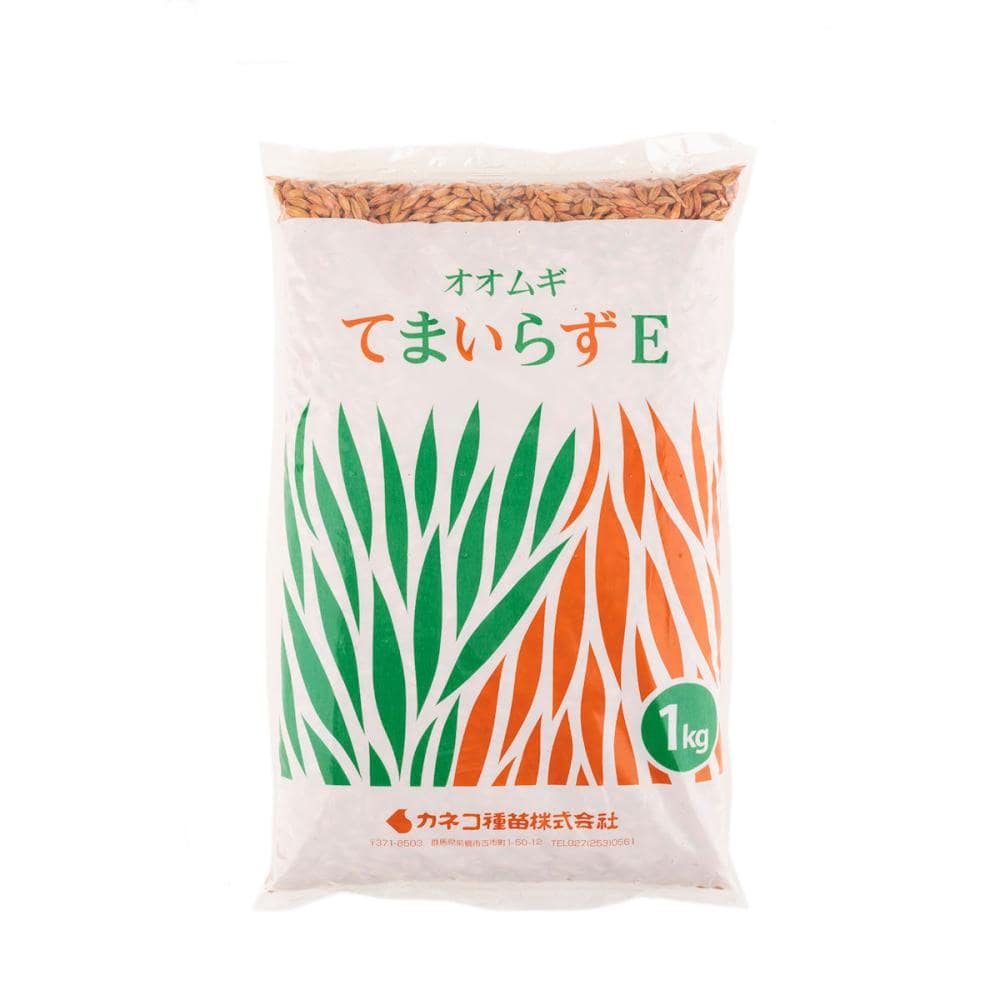 【早期予約・緑肥】　オオムギ　てまいらずE　１ｋｇ