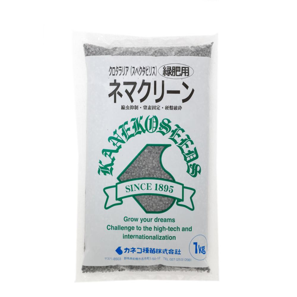 【早期予約・緑肥】　クロタラリア（スペクタビリス）　ネマクリーン　１ｋｇ