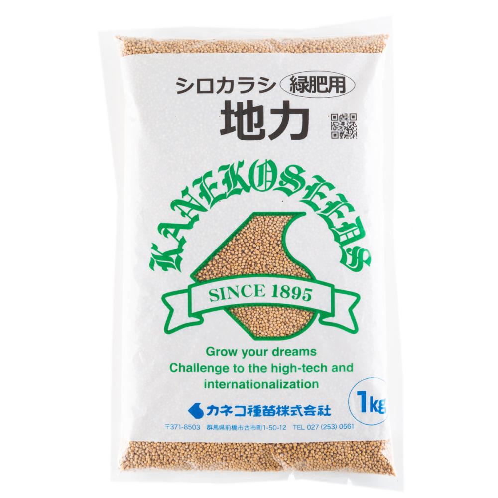 【早期予約・緑肥】　シロカラシ　地力　０．５ｋｇ