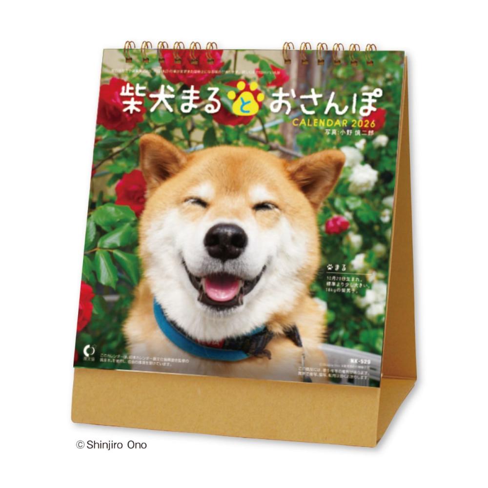 ２０２６年　カレンダー　卓上　柴犬まるとおさんぽ