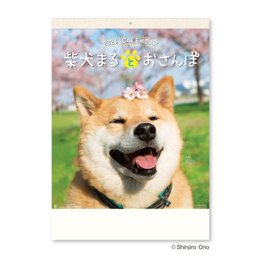 ２０２６年　カレンダー　柴犬まるとおさんぽカレンダー