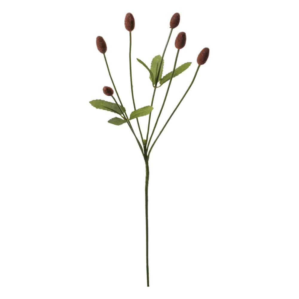 造花　ワレモコウ　ブラウン　ＦＳ－９３１７　ＢＲ