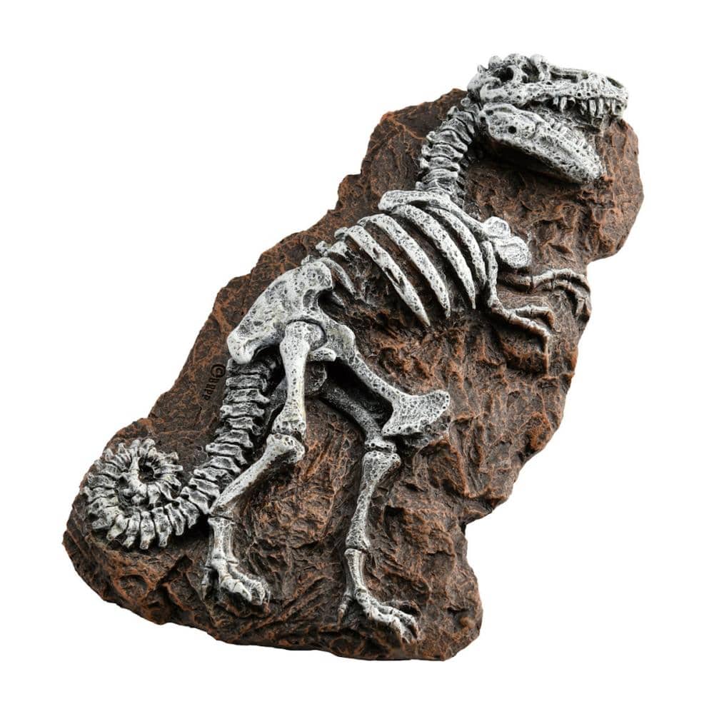 ａｑｕａｎｅｒｕ　アクアリウムオーナメント　ティラノサウルスの化石