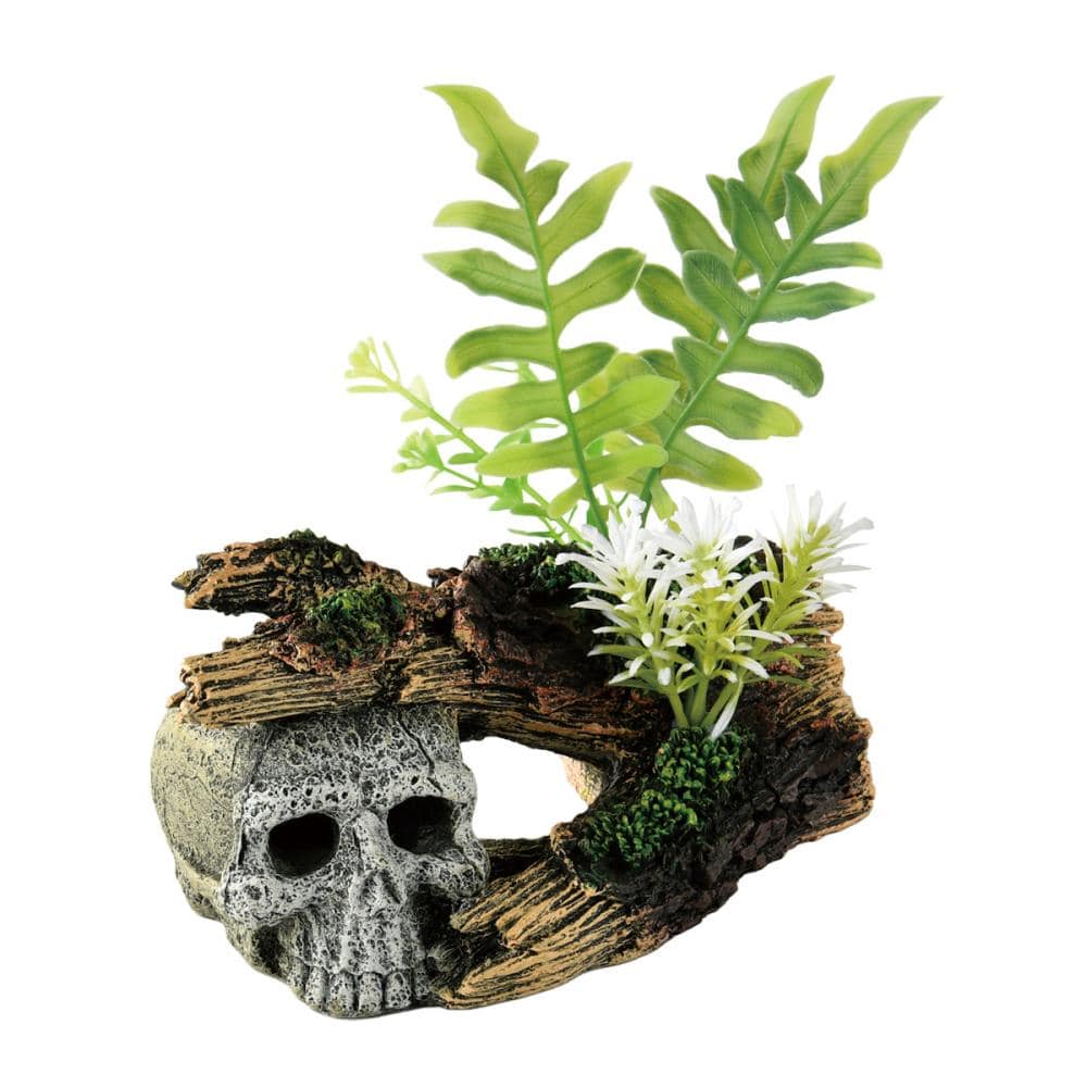 ａｑｕａｎｅｒｕ　アクアリウムオーナメント　頭蓋骨と植物